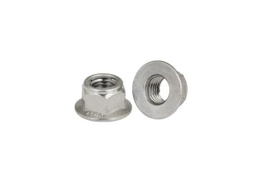 Écrous de silencieux Rtraxx M6 à insert métallique freiné x2